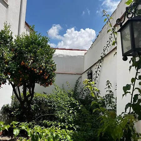 Acogedor Apartamento Junto A Plaza De San Agustin Córdova Exterior foto