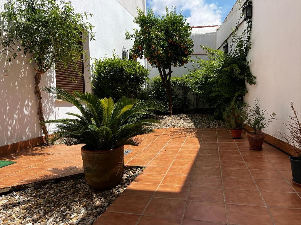 Apartment Acogedor Junto A Plaza De San Agustin
